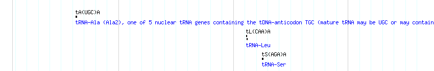 tRNAs detail