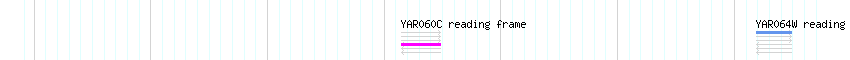 CDS detail
