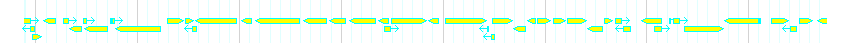 Genes detail