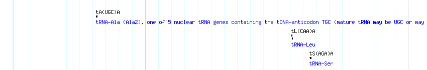 tRNAs detail