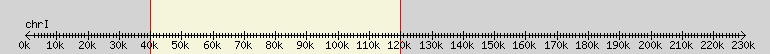 __scale__ overview