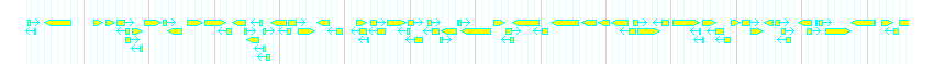 Genes detail