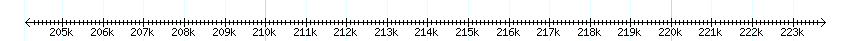 __scale__ detail