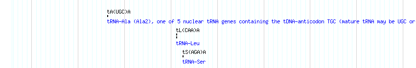 tRNAs detail