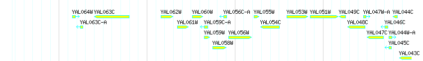 Genes detail