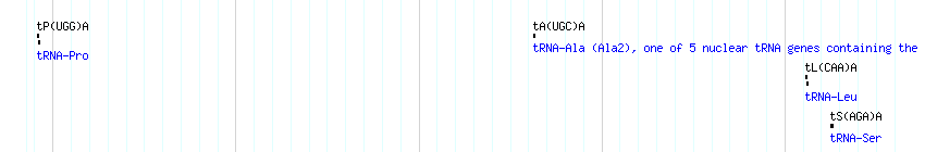 tRNAs detail