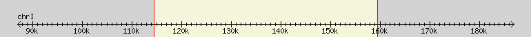 __scale__ region