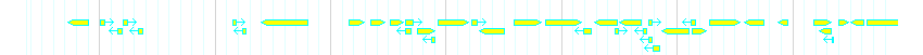 Genes detail
