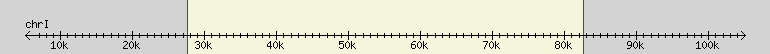 __scale__ region