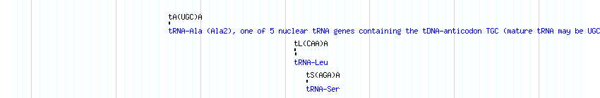 tRNAs detail