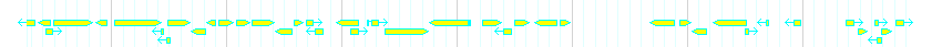 Genes detail