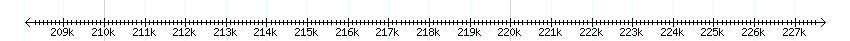 __scale__ detail