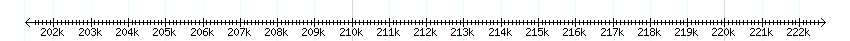 __scale__ detail