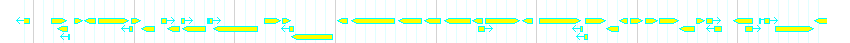 Genes detail