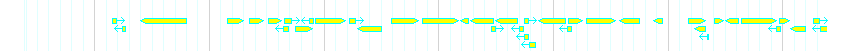 Genes detail