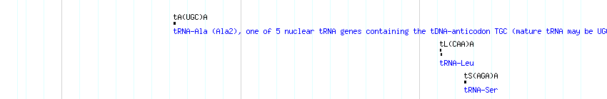 tRNAs detail