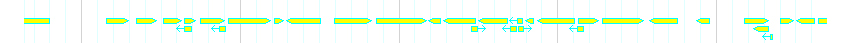 Genes detail