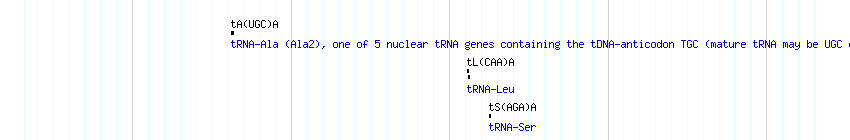 tRNAs detail