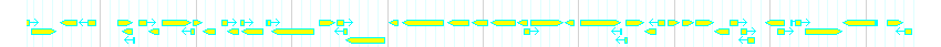 Genes detail