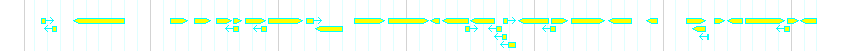 Genes detail