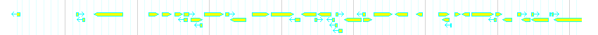 Genes detail