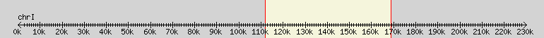 __scale__ overview