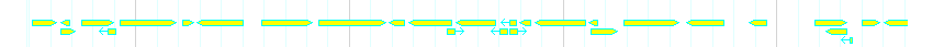 Genes detail