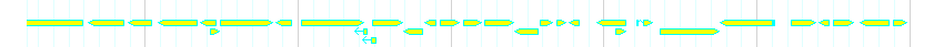 Genes detail