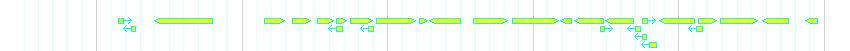 Genes detail