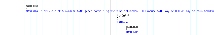 tRNAs detail