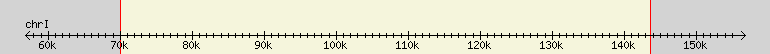 __scale__ region