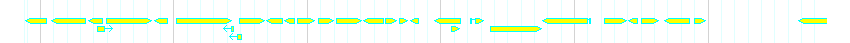 Genes detail
