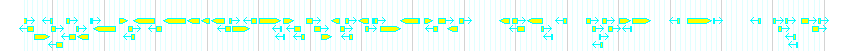Genes detail