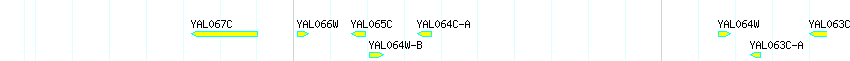 Genes detail
