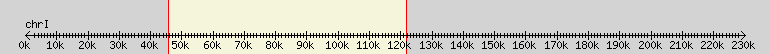 __scale__ overview