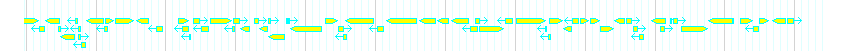 Genes detail