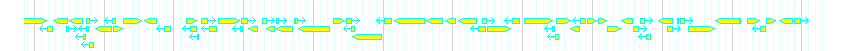 Genes detail