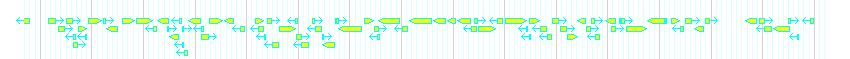 Genes detail