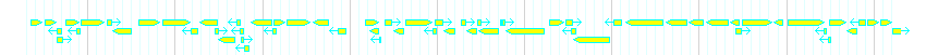 Genes detail
