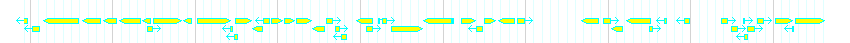 Genes detail