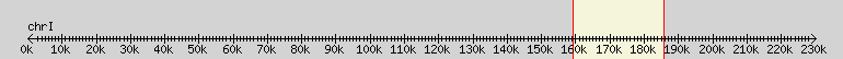 __scale__ overview