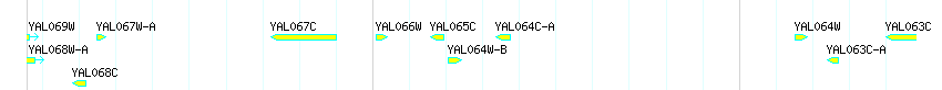 Genes detail