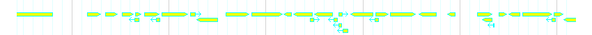 Genes detail