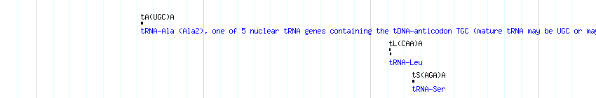 tRNAs detail