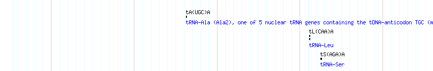 tRNAs detail