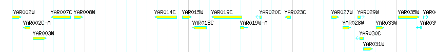 Genes detail