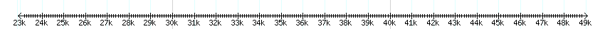 __scale__ detail