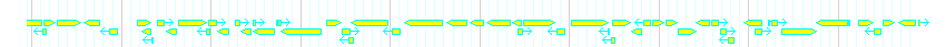 Genes detail