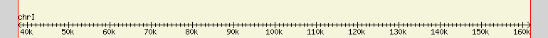 __scale__ region