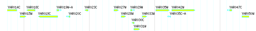 Genes detail